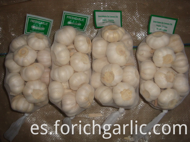 4 5cm Pure White Garlic